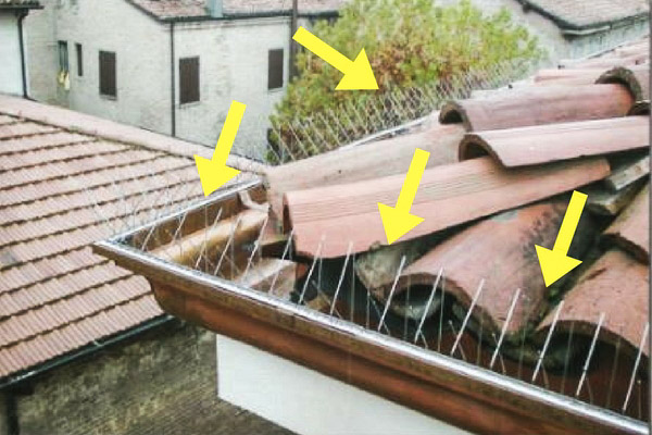 Rete antipiccioni su misura  Adatta per la protezione di balconi